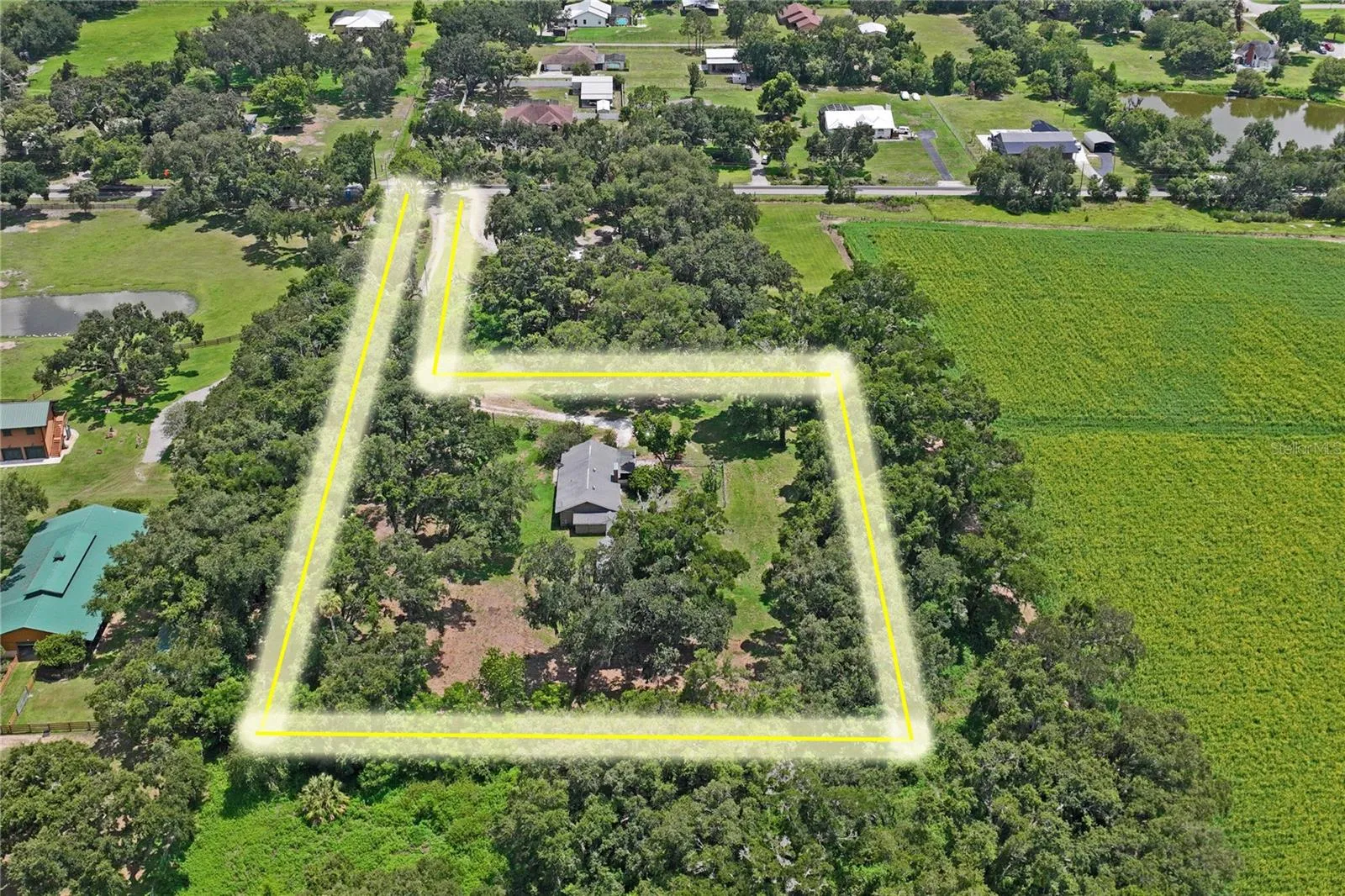 6202 Stafford Rd, Plant City, Florida 33565 — photo 52