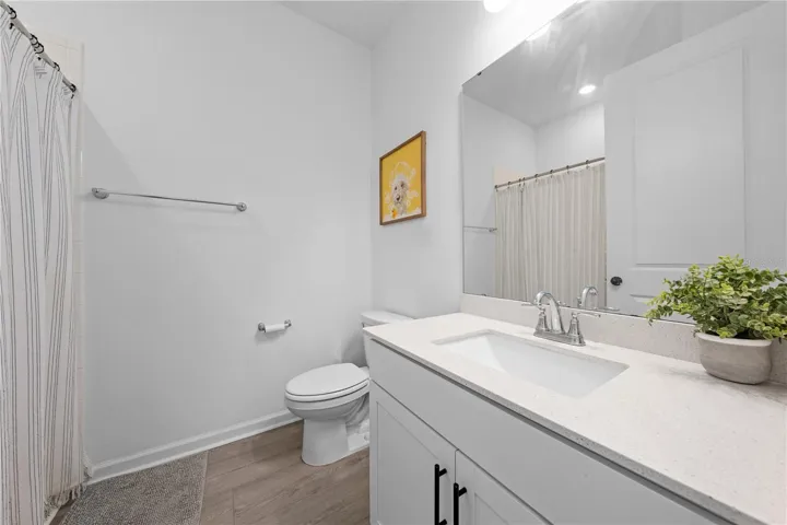 Down Stairs Bathroom