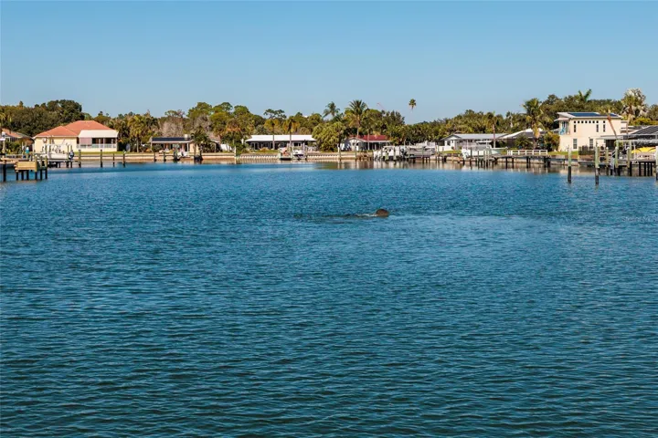 Waterfront View