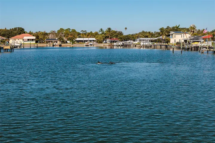 Waterfront View