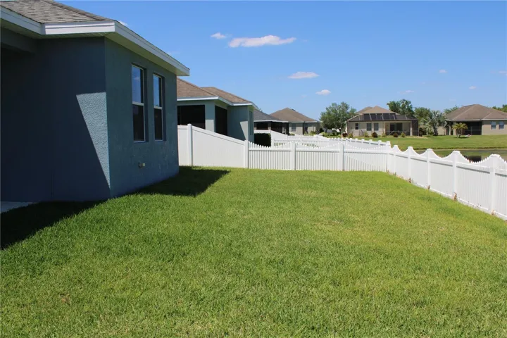 Back yard