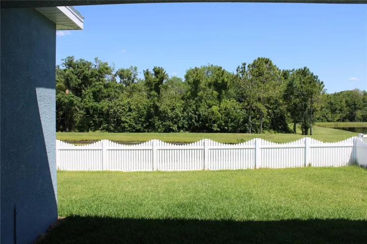 Back yard