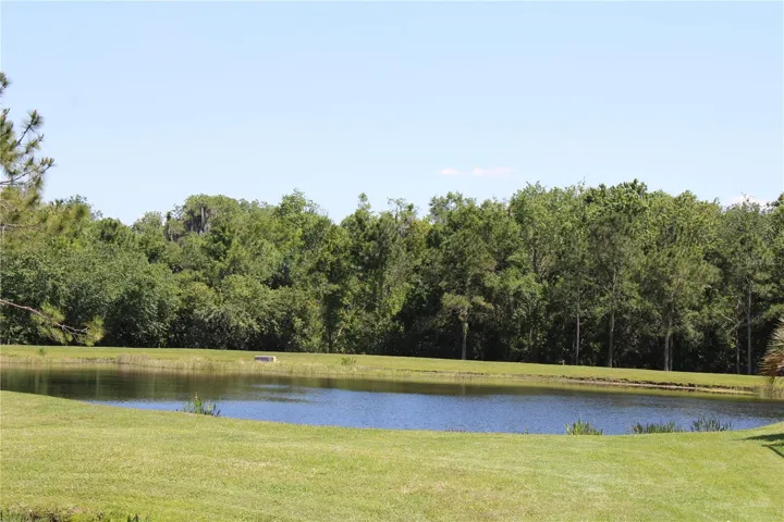 View of pond