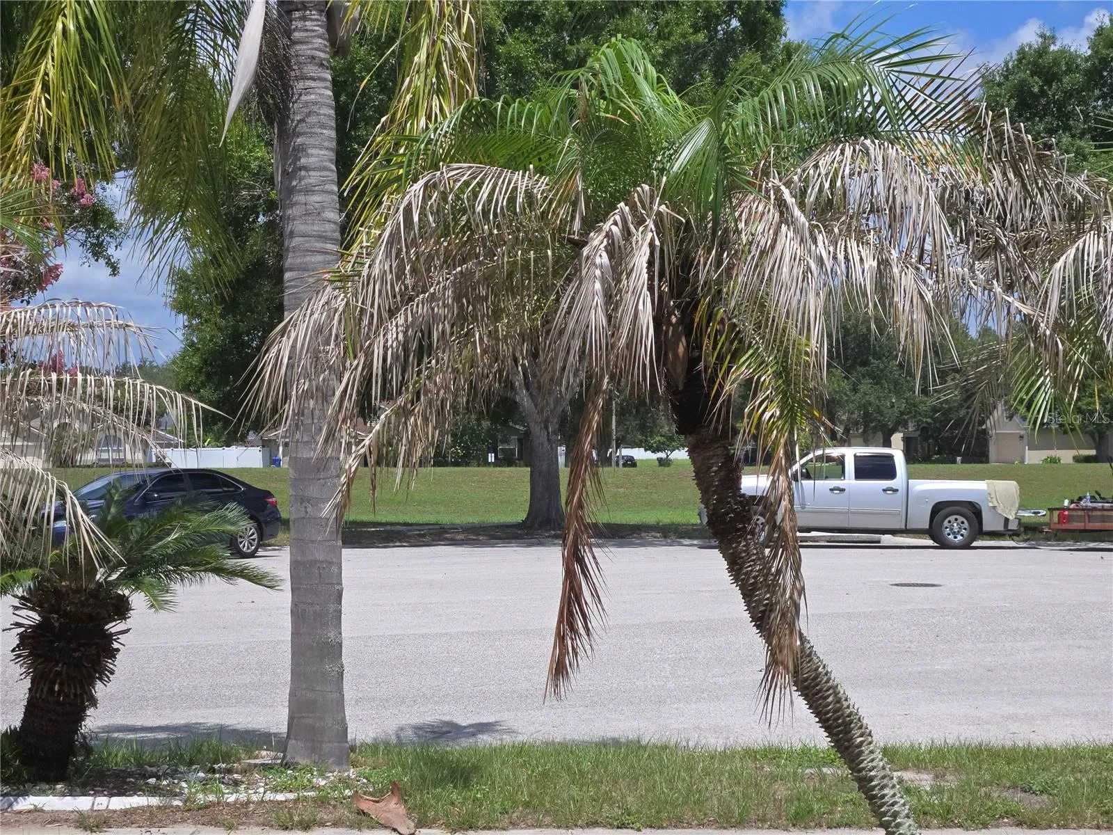 View across the street