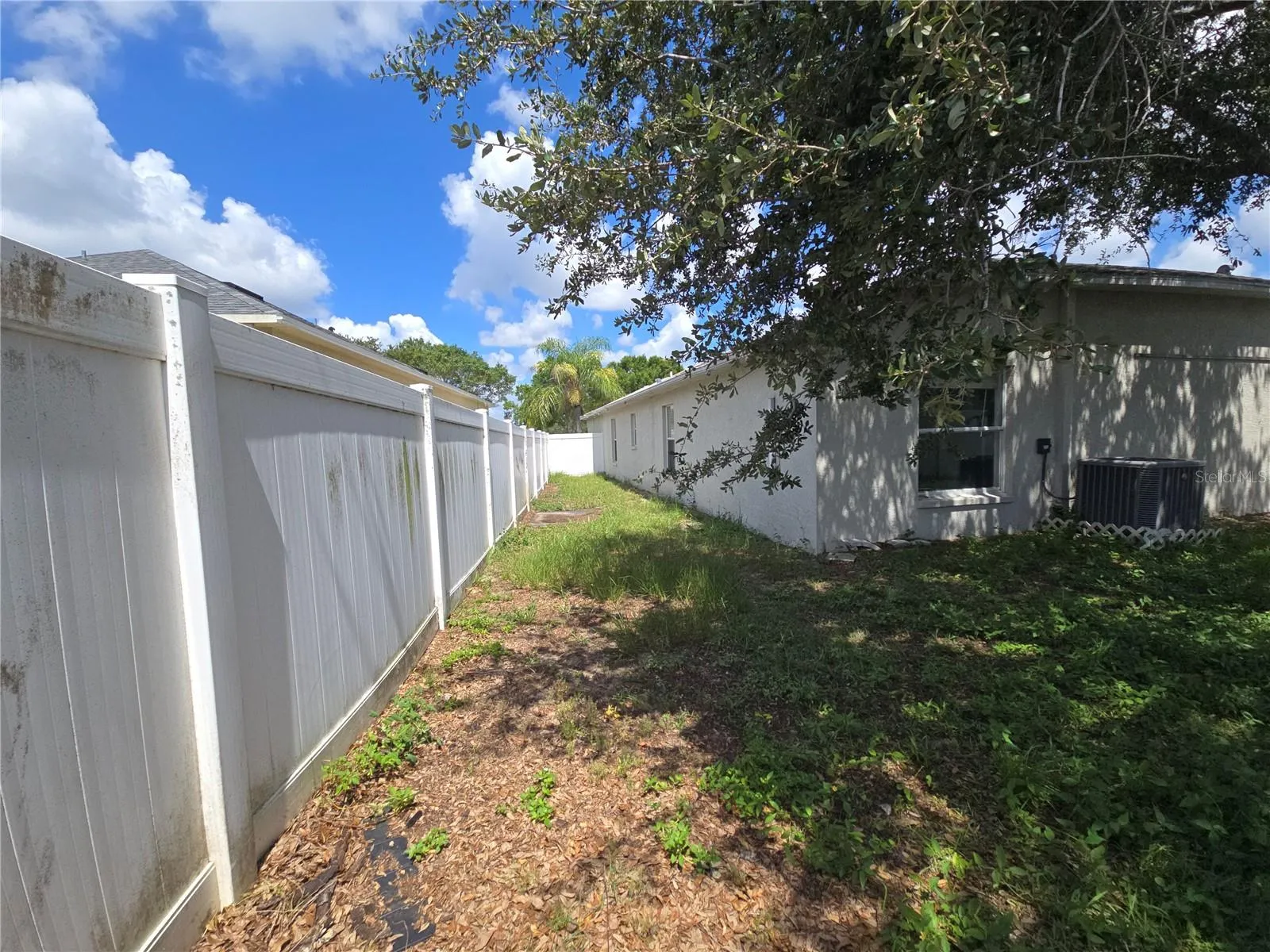 Backyard Side