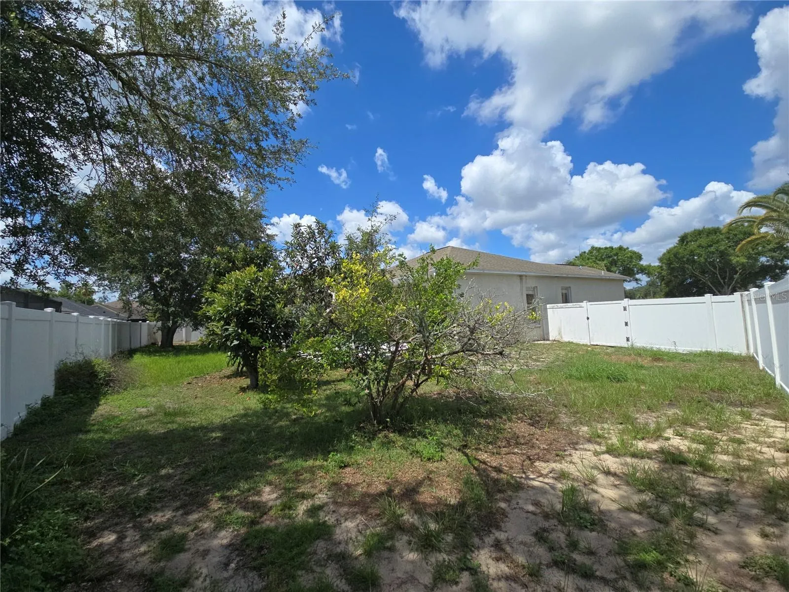 Backyard Rear
