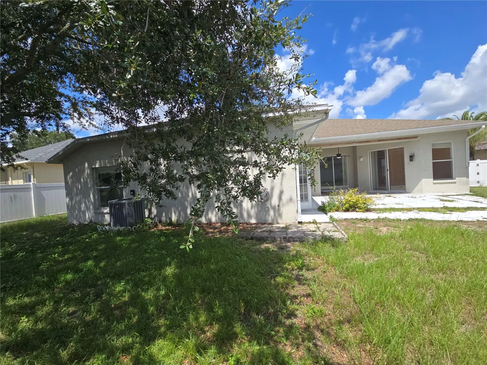 Backyard Rear