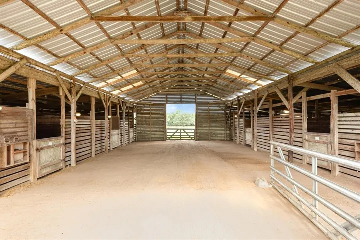 Looking out from the A-frame barn to the rear pastures. The large oak tree in the back is a family favorite and has a small creek that runs past it during the rainy season.
