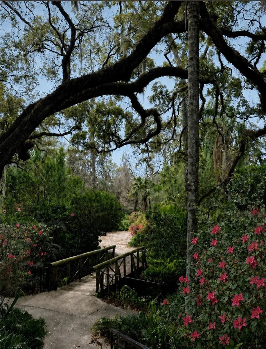 Walk to Dickson Azalea Park