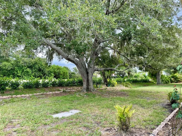 Yard