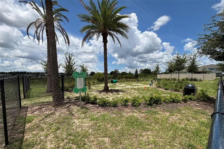 Dog park