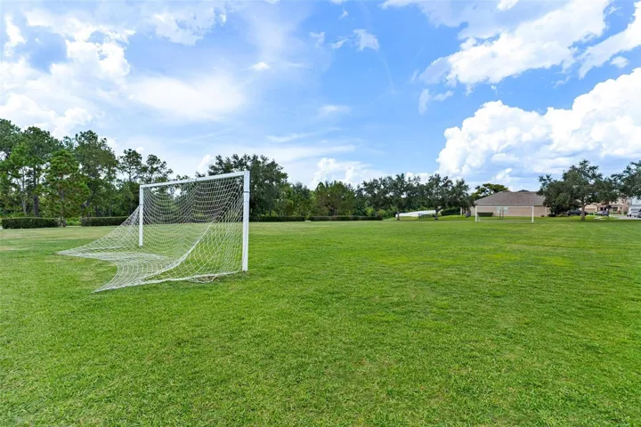 Soccer Field