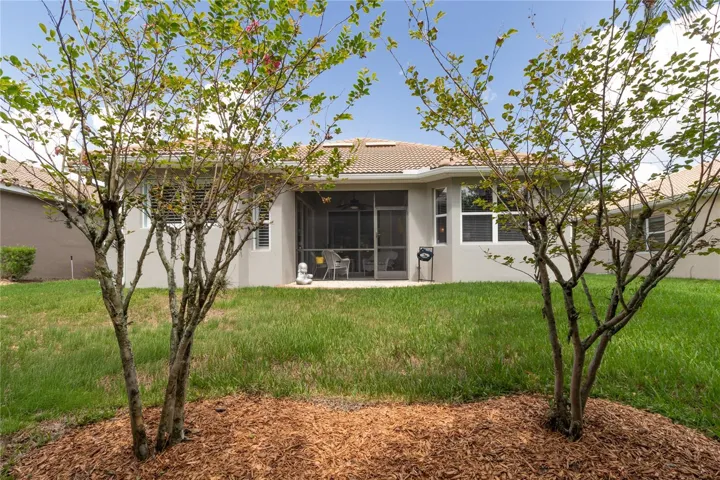 view to back of house