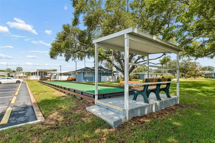 Shuffleboard