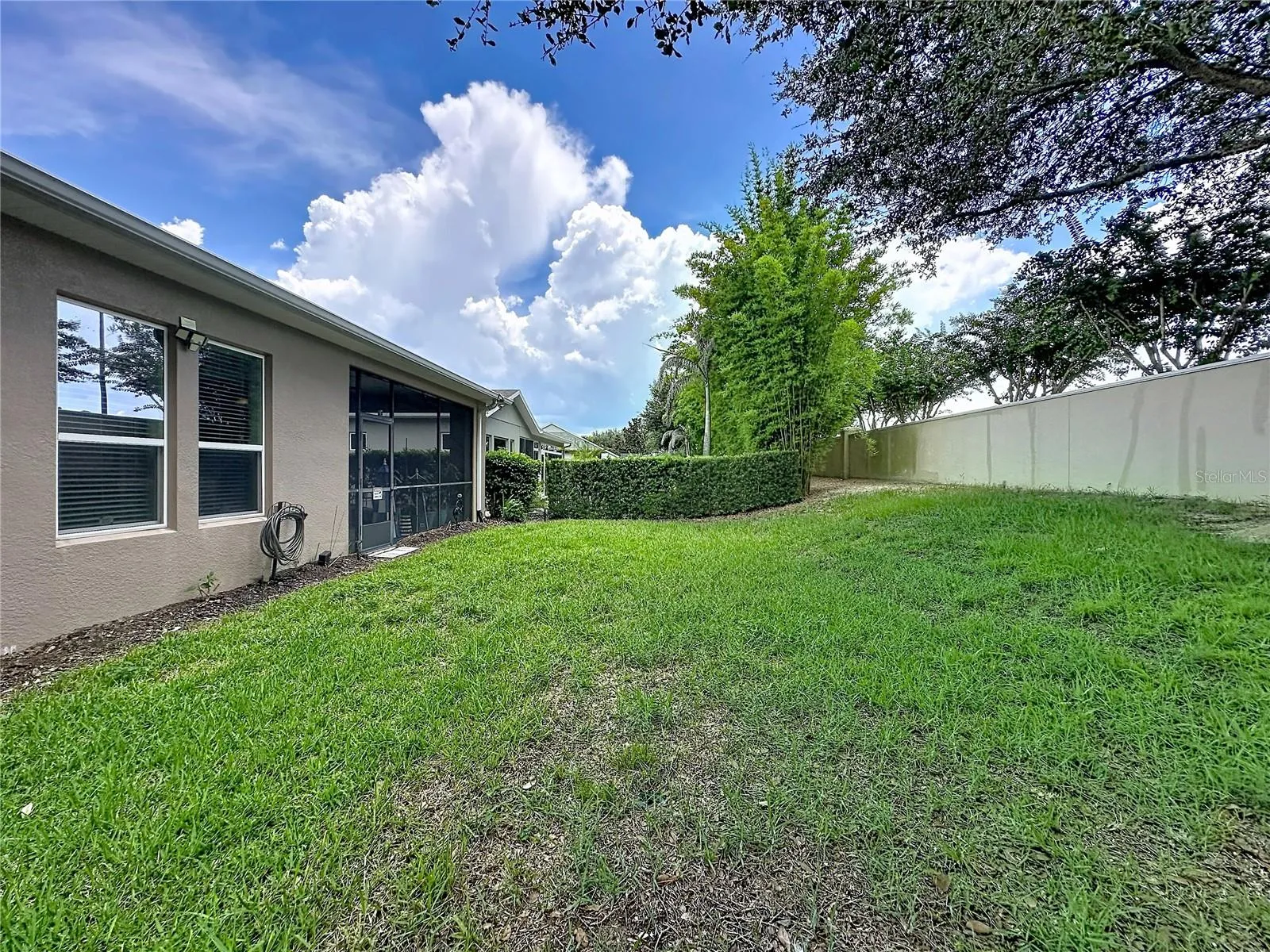 Backyard