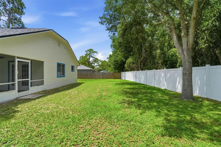 Back Yard
