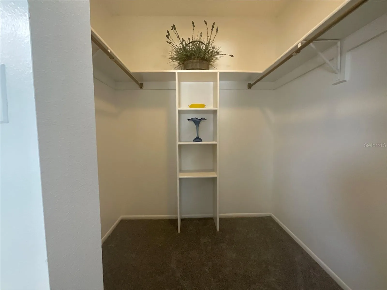 Walk-in closet in primary suite