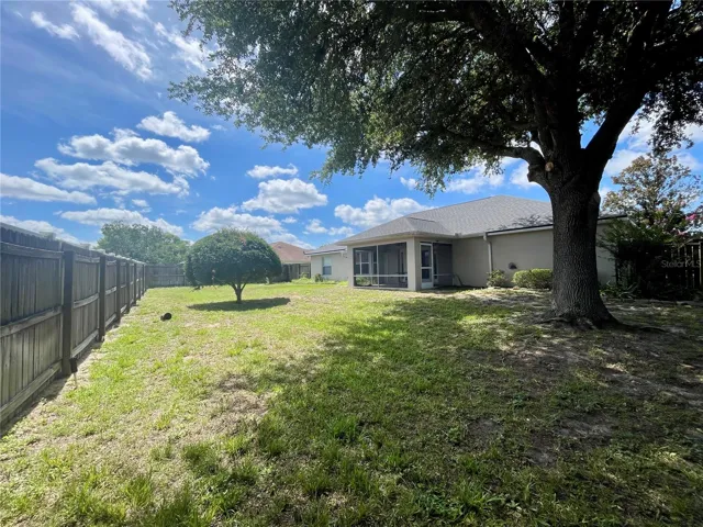 Backyard