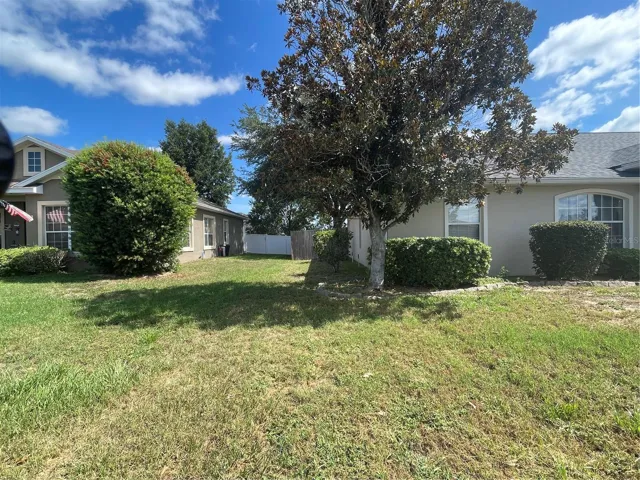Side Yard