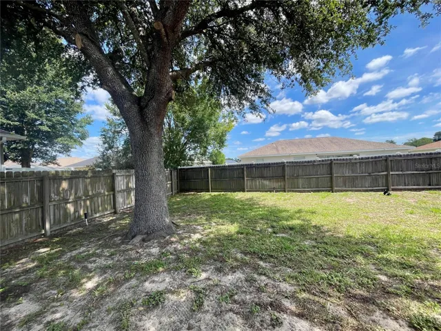 Backyard