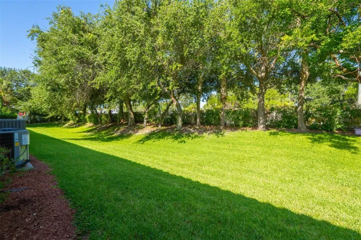 Private Tree-Lined Backyard