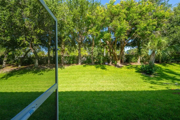 View from Rear Patio