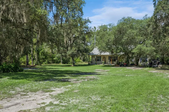 Front Yard
