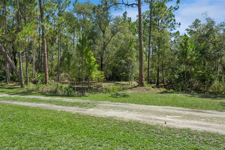 Driveway