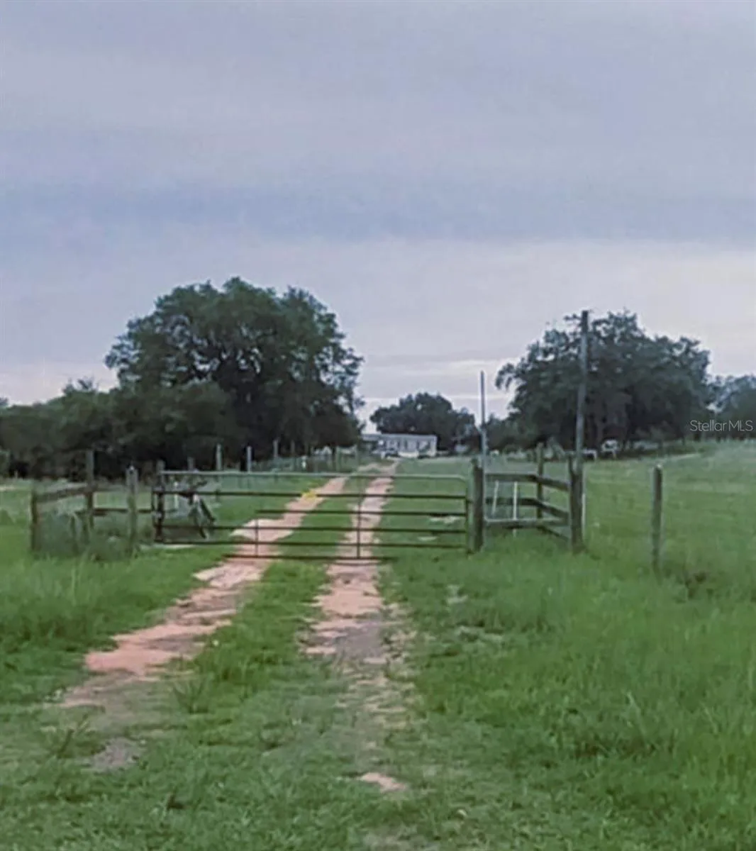 ROAD VIEW