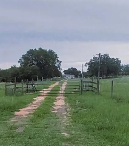 ROAD VIEW
