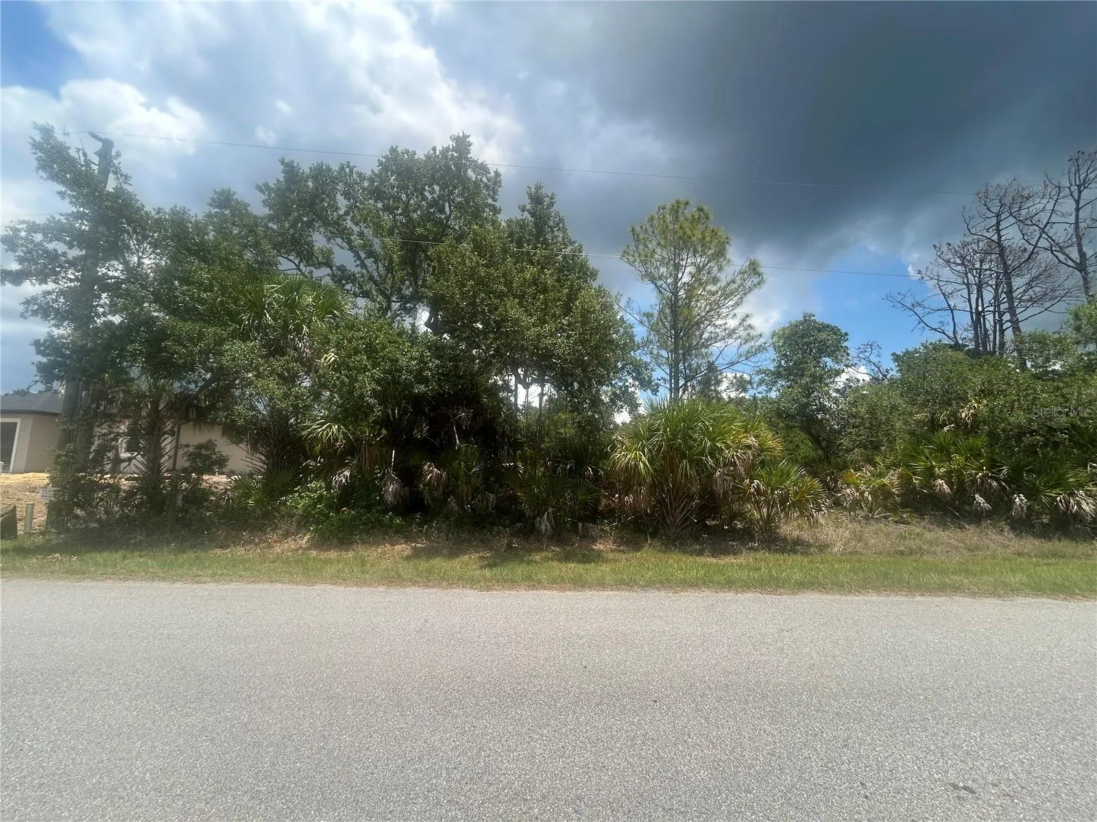 Middle of Lot