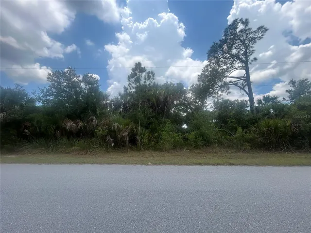 Middle of Lot