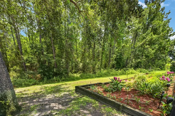 Lovely conservation behind the home