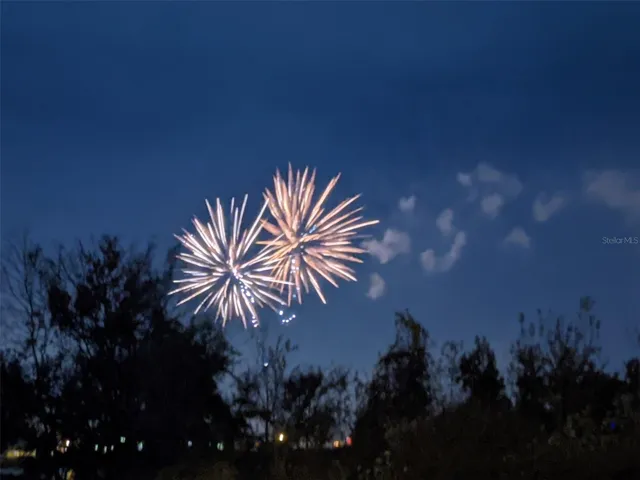 So close you see Disney fireworks from this neighborhood!