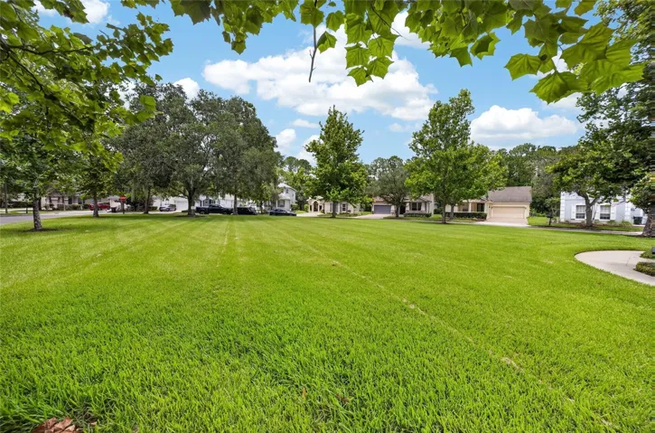 Greenspace across the street from this property!