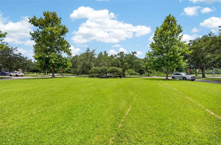 Another view of the greenspace park area across the street from the home