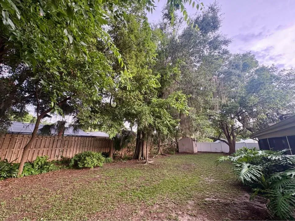 Fenced Back Yard