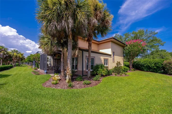 Side and back yards