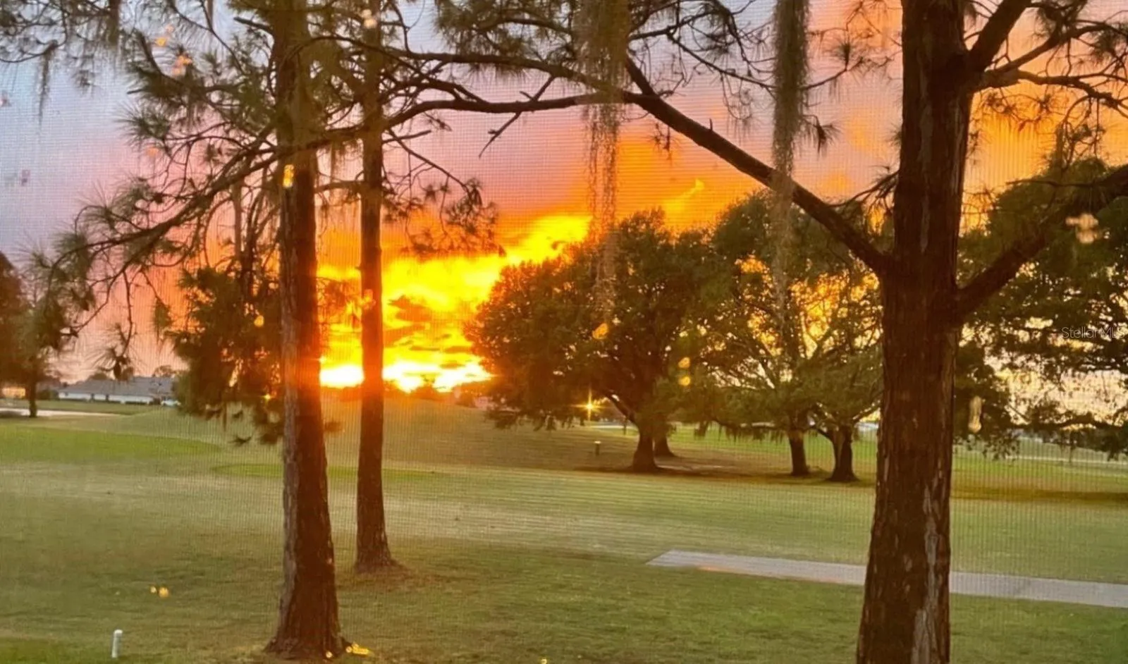 Lanai sunset views