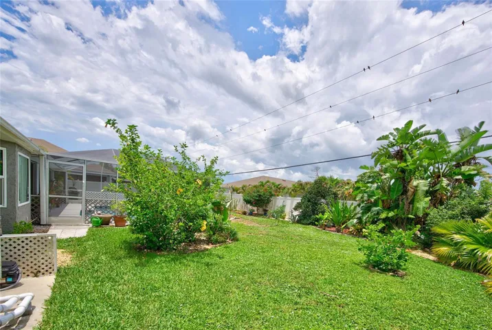 llarge fenced in back yard - corn hole anyone