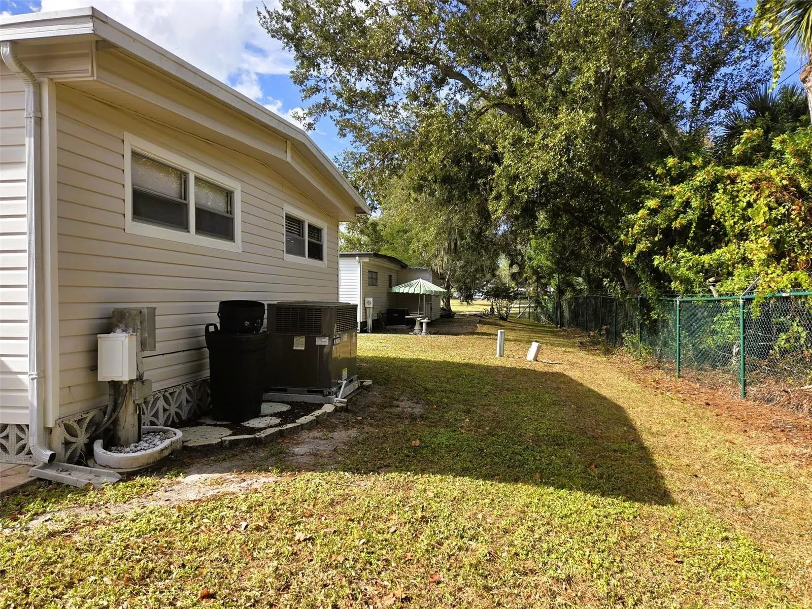 Back yard
