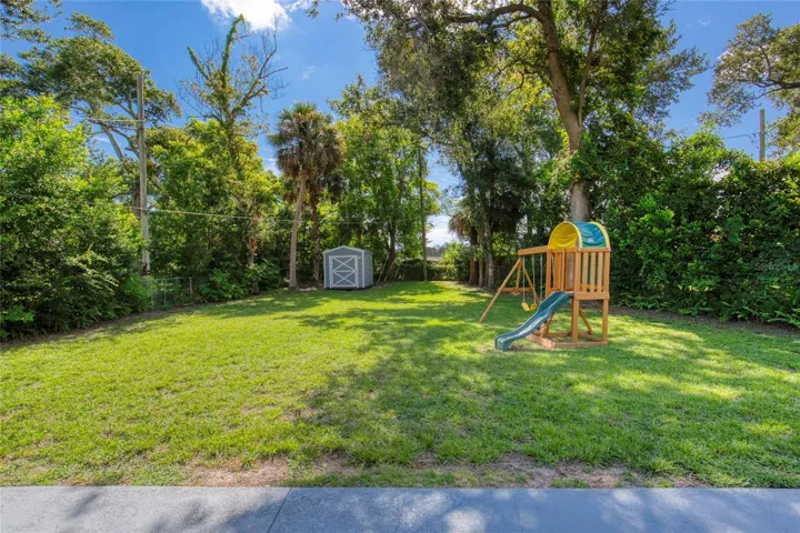 Back Yard