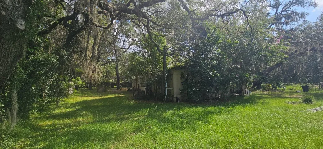 Side view of large yard