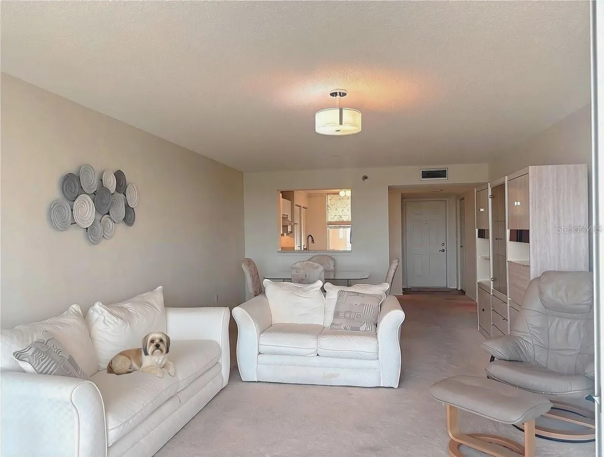 Living Room/Dining Room