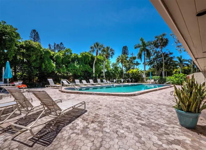 pool and pool deck