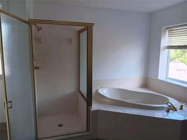 MASTER BATH SHOWER STALL AND GARDEN TUB