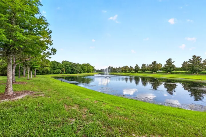 Pond Views.