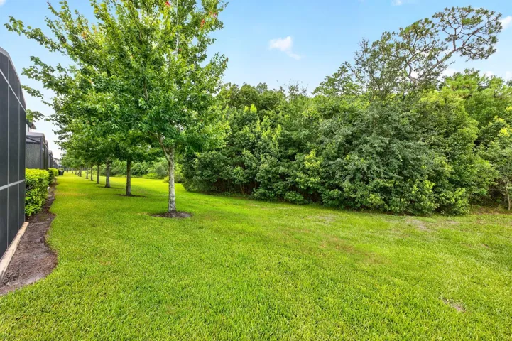 Wooded Views.