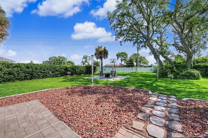 Oversized Backyard