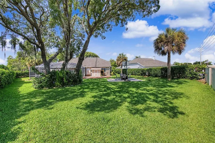 Oversized Backyard